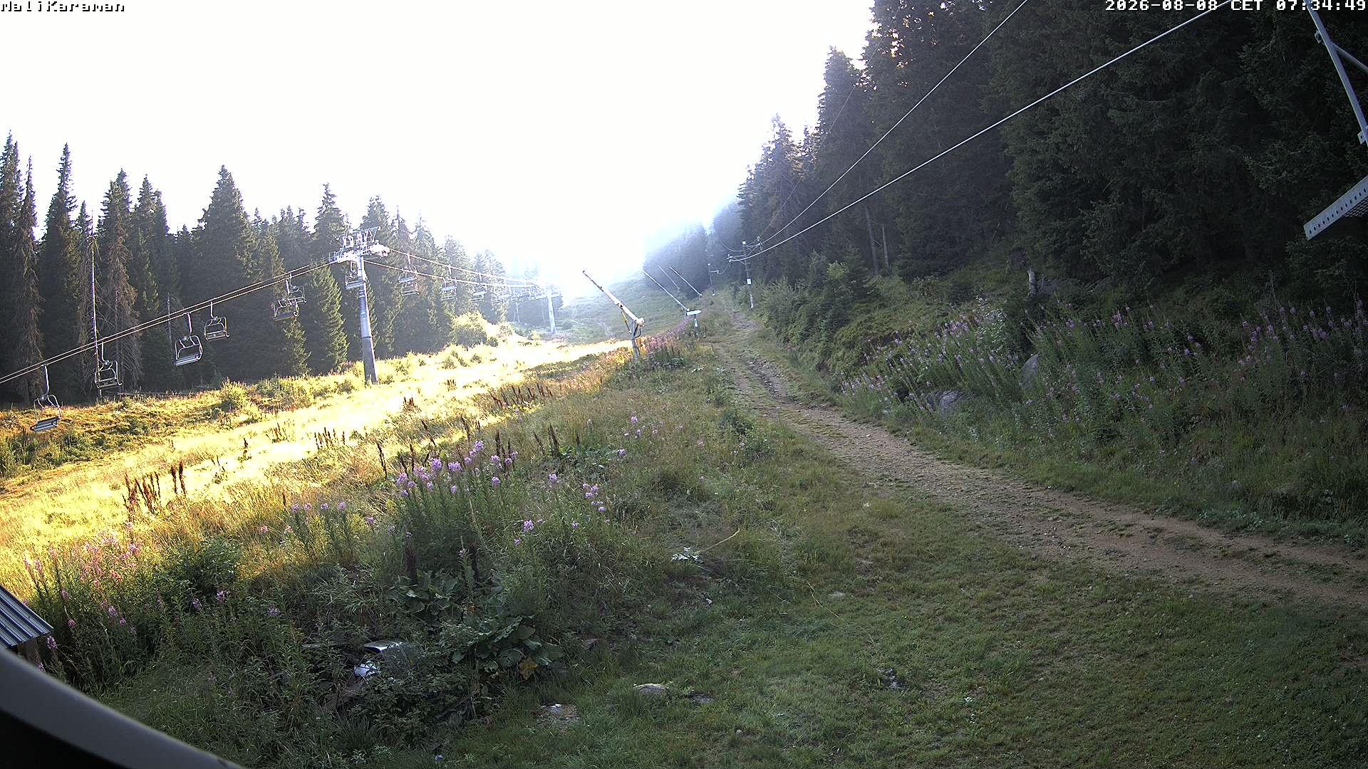Camera